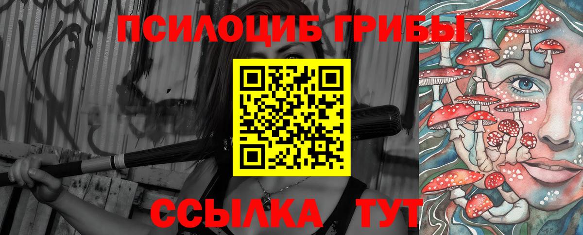 Славгород  купить   Вход с VPN  Псилоцибиновые грибы Psilocybine cubensis 