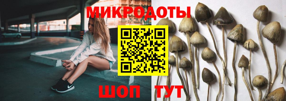 Галлюциногенные грибы GOLDEN TEACHER Славгород